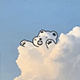 林林