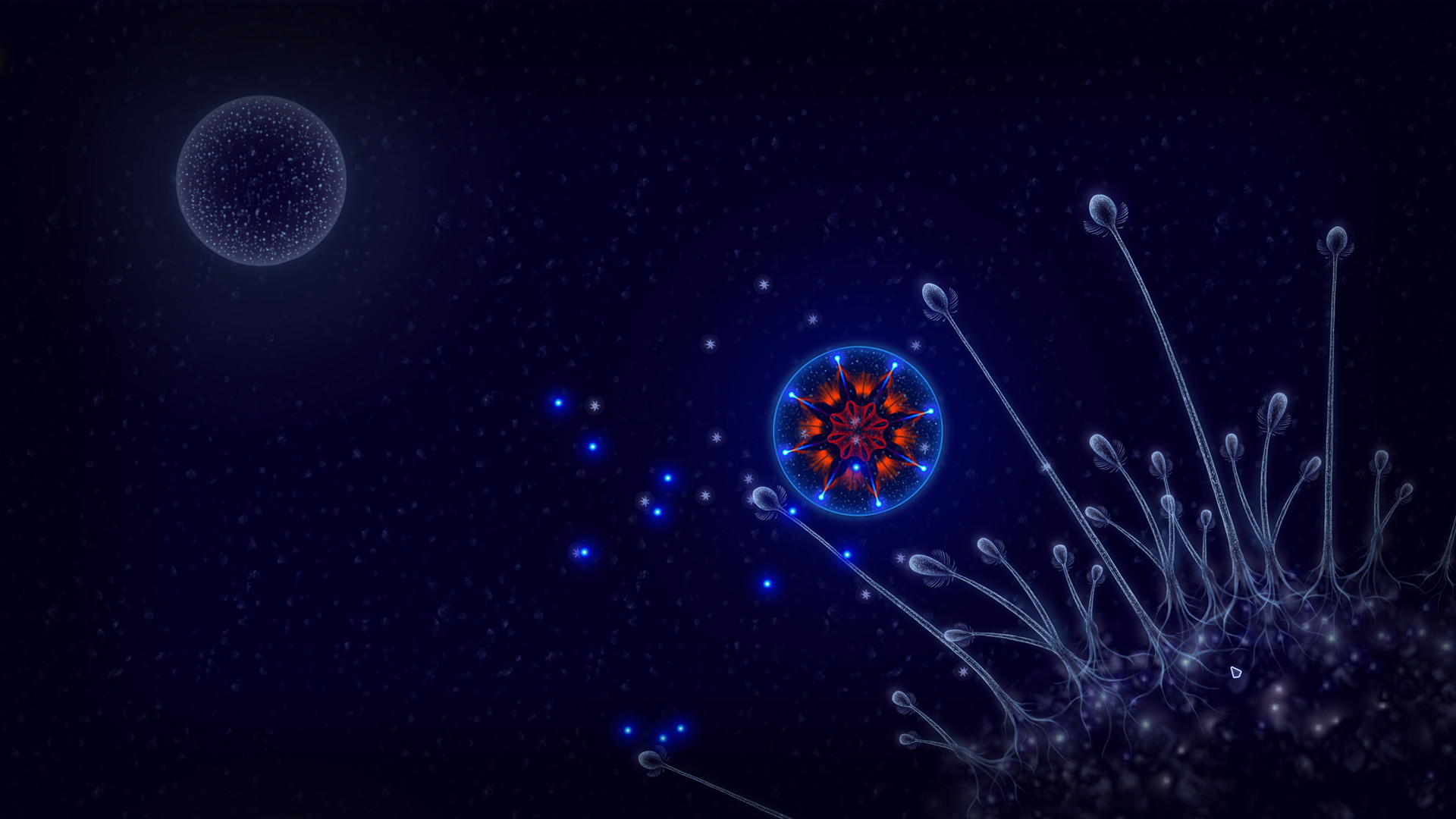 微观世界：细胞生存/细胞生存战/Microcosmum: survival of cells